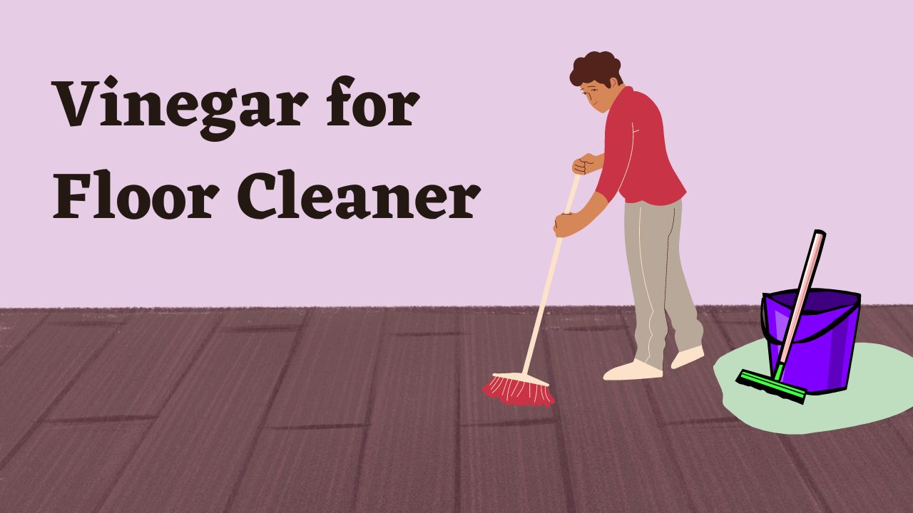Vinegar for Floor Cleaner – Here’s What You Need to Know