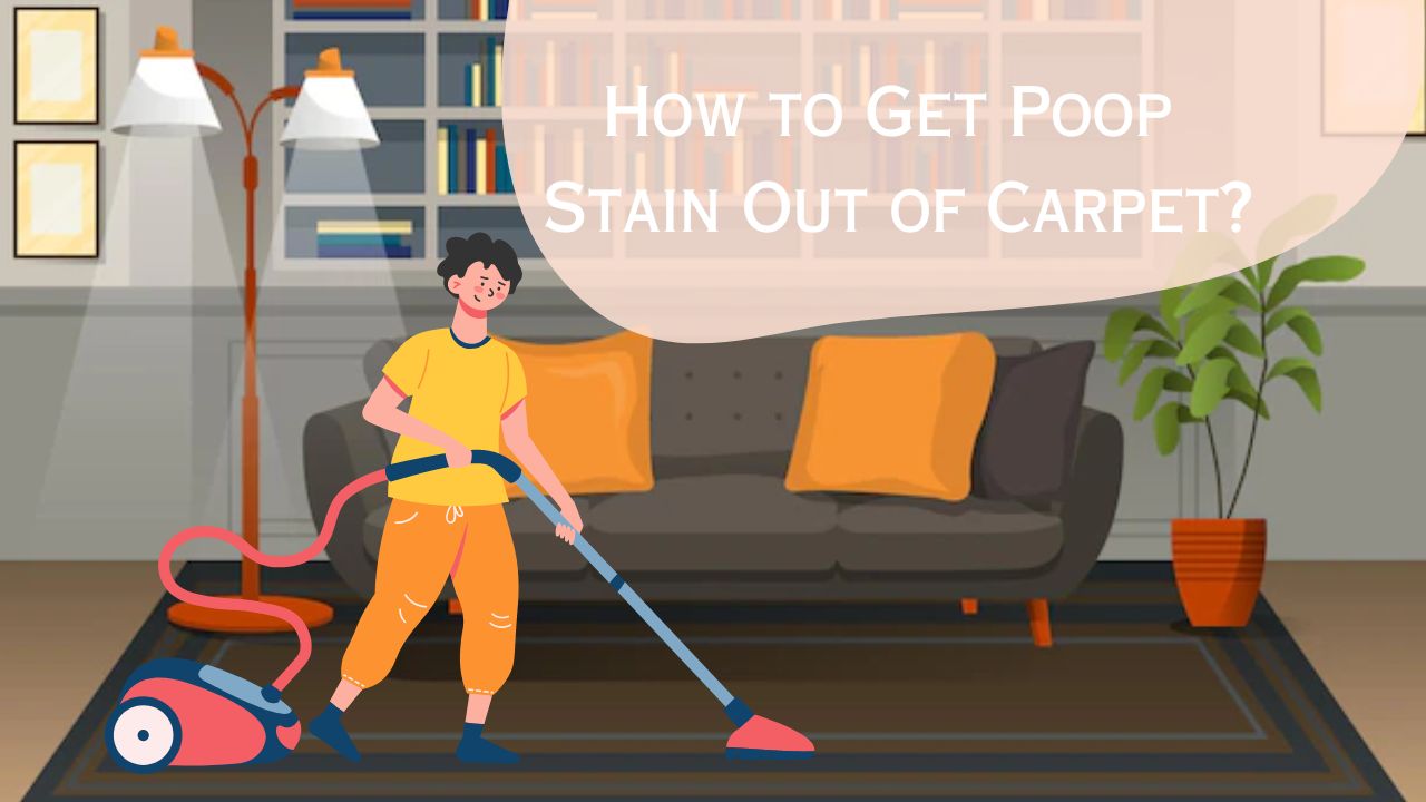How to get poop stain out of carpet
