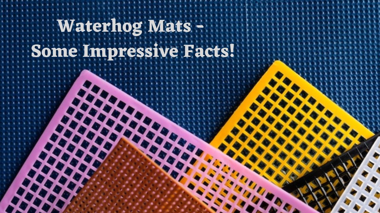 5 Waterhog Mats Facts You Need to Know