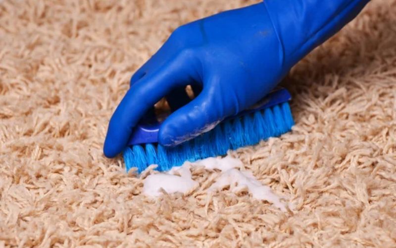 How to Get Poop Stain out of Carpet in 2023? Floor Fident