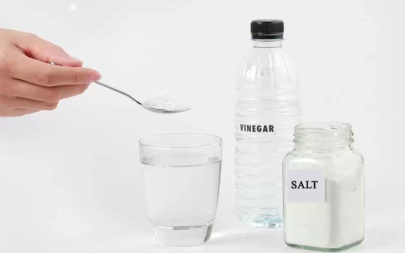 vinegar and salt for carpet cleaning solution